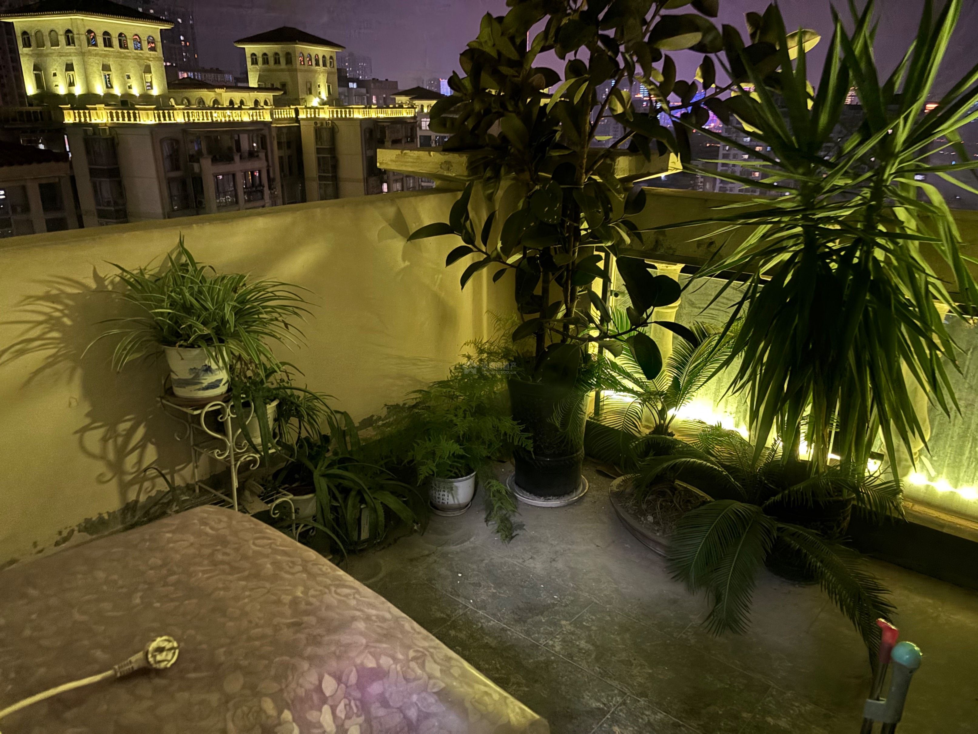 M-36247二手房图片