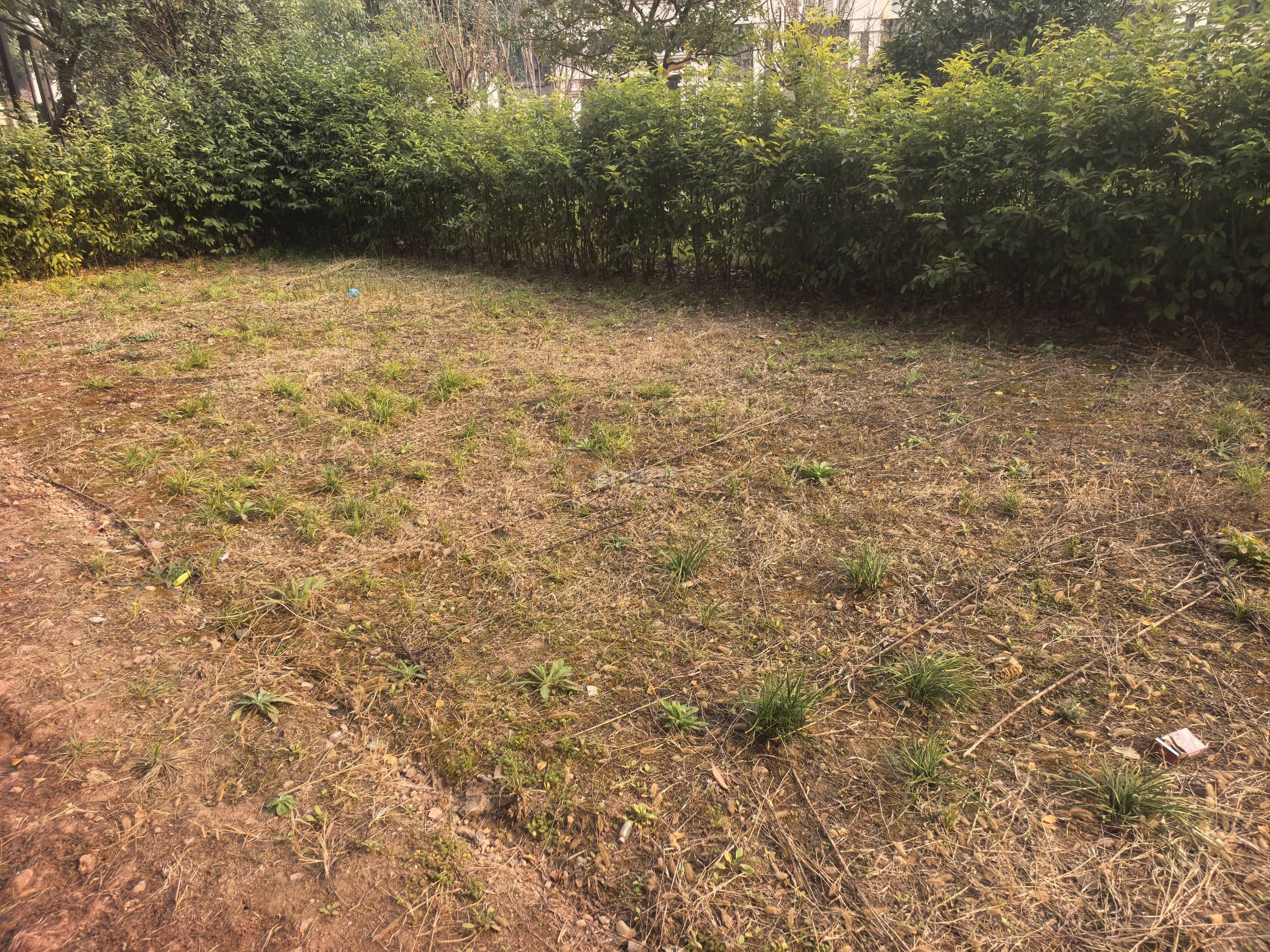 M-41530二手房图片