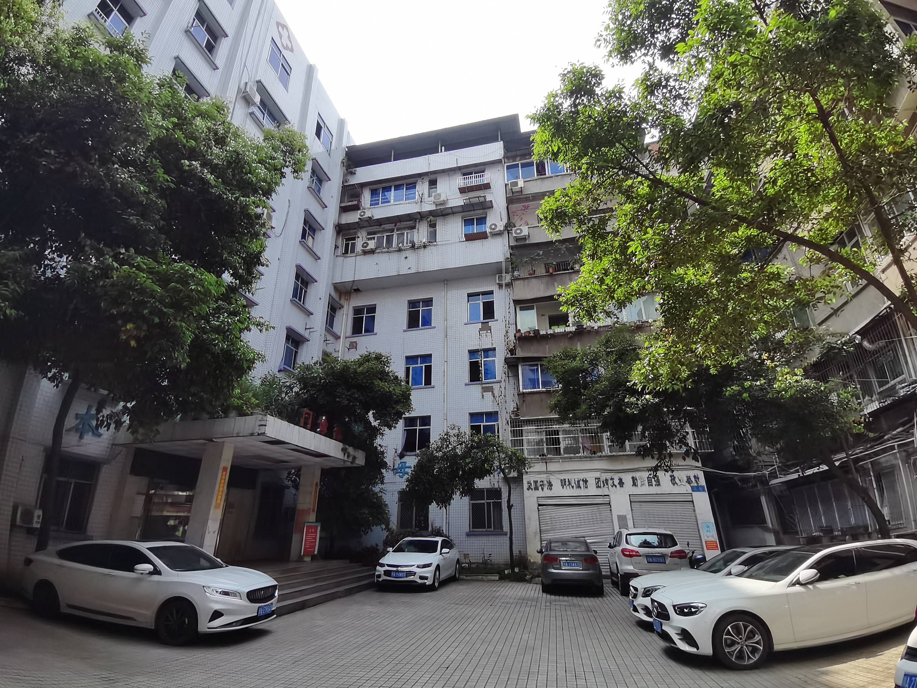 妇幼保健院（新民街）图片