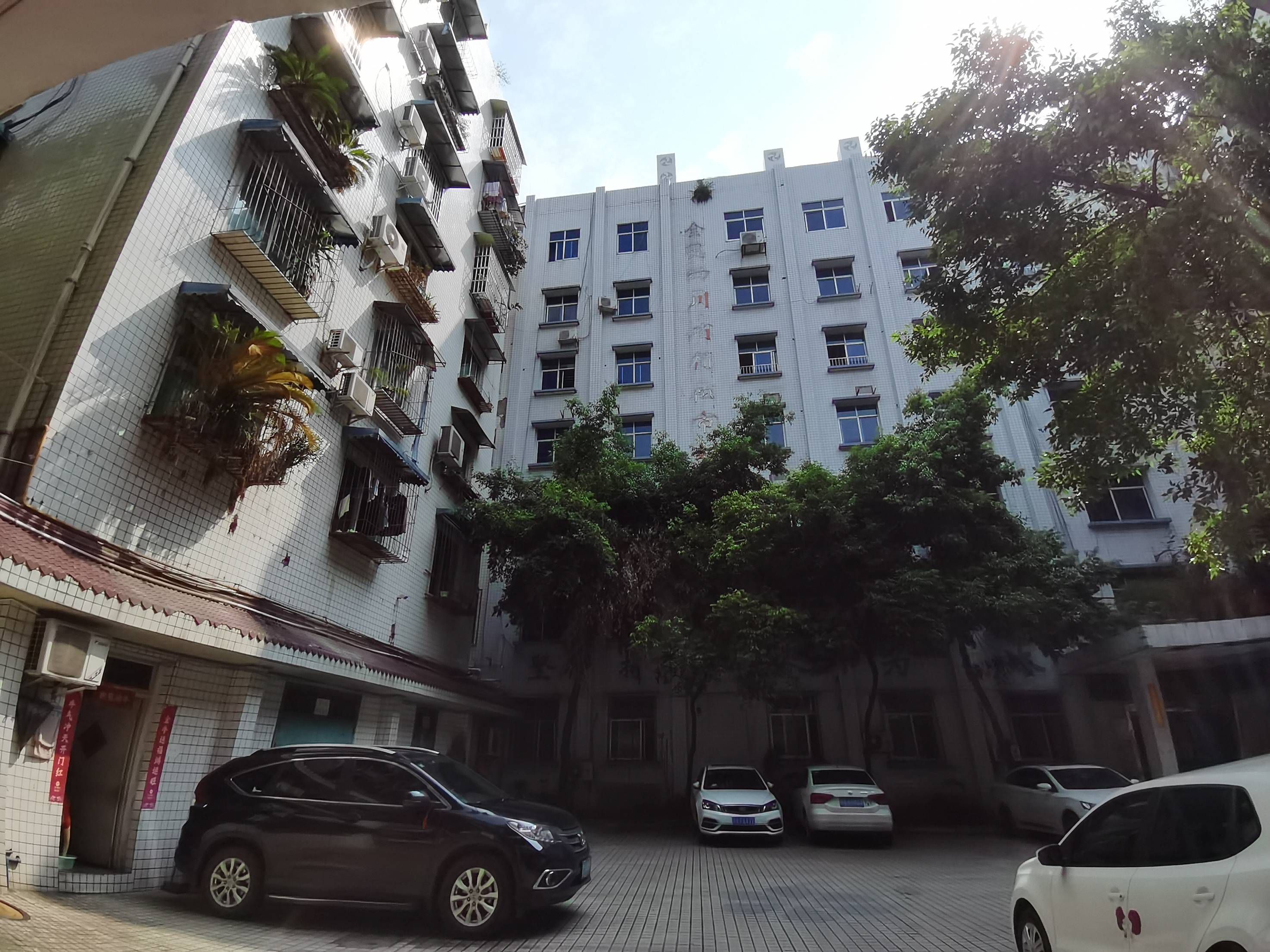 妇幼保健院（新民街）图片