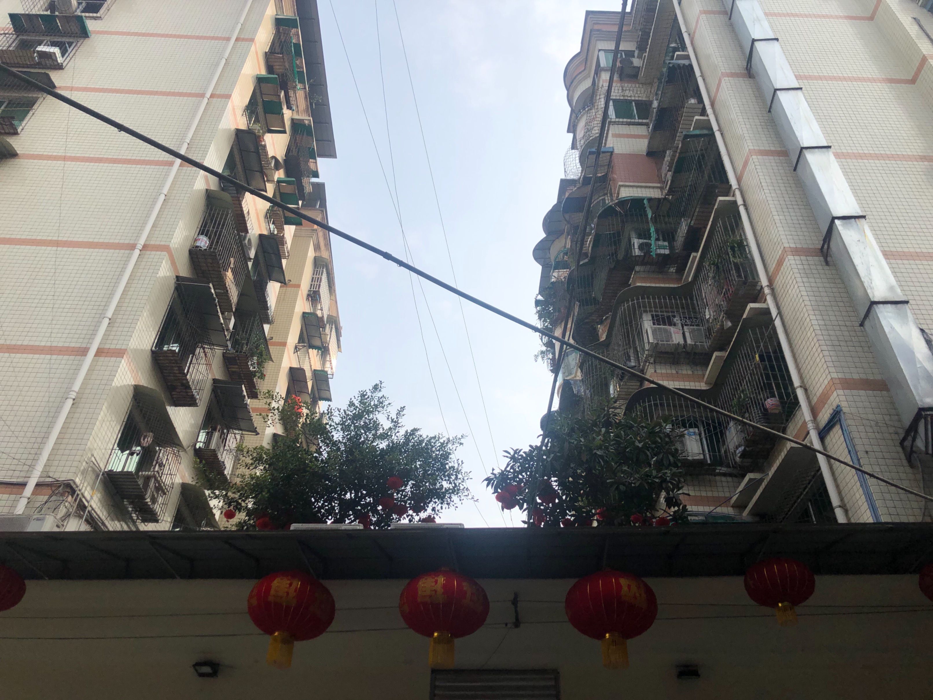 红建路北段（兄弟渔港）图片