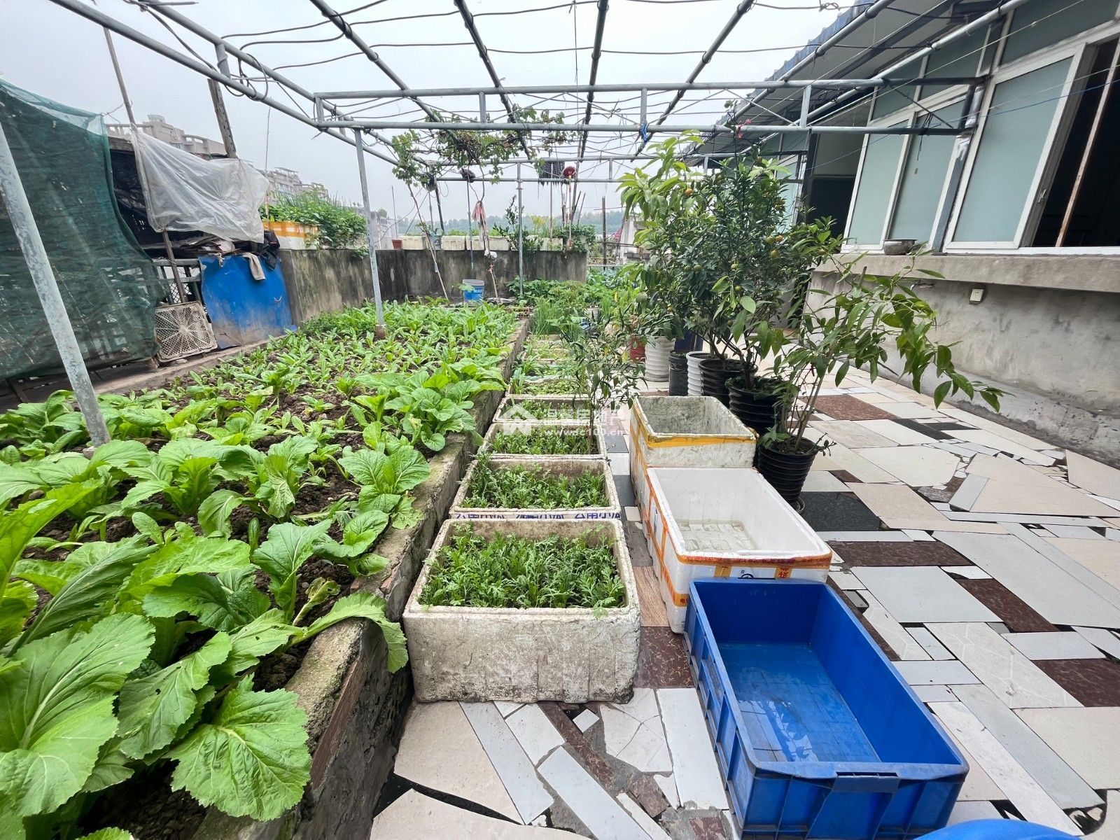 M-19390二手房图片