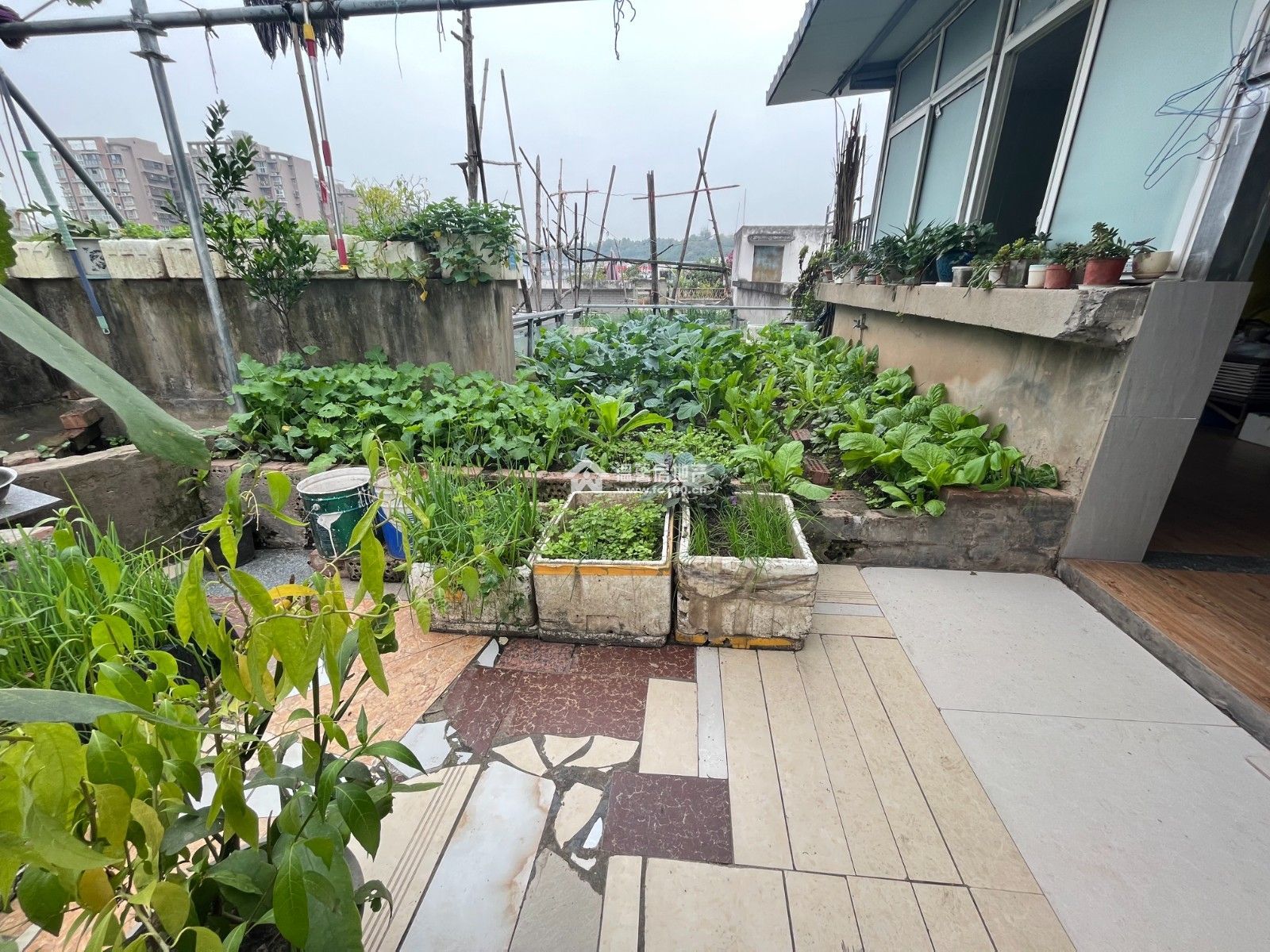 M-19390二手房图片