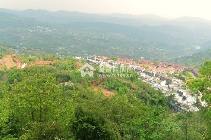 M-19599二手房图片