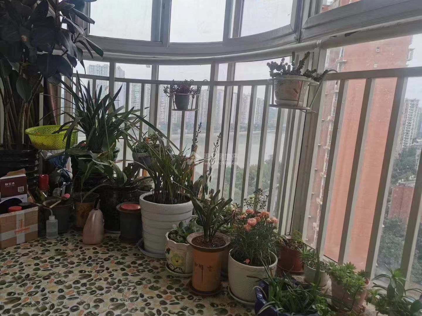 Z-34464二手房图片