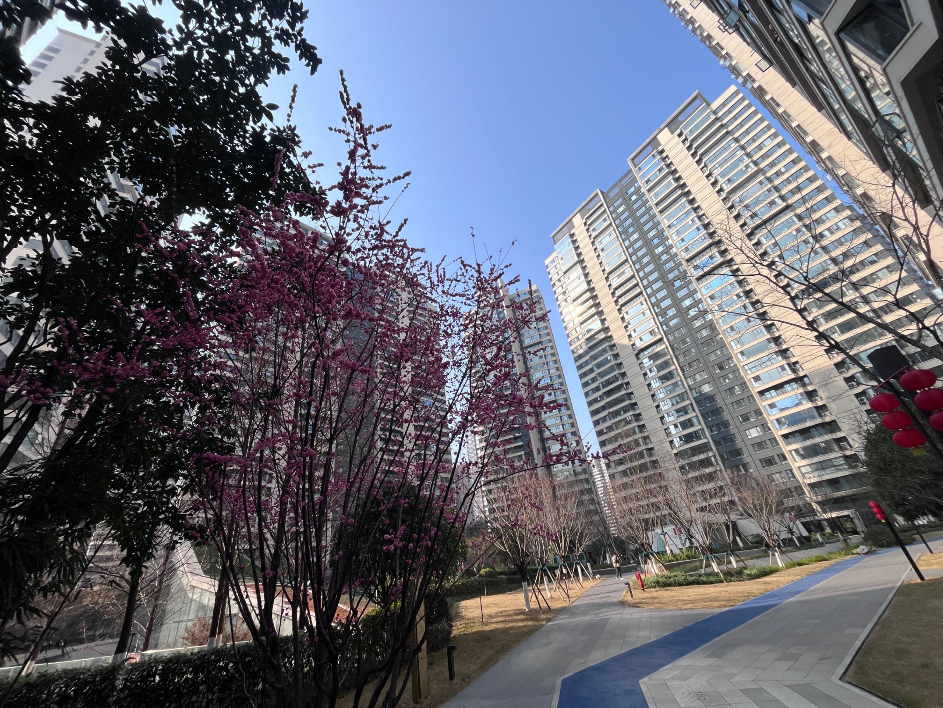 Z-38842二手房图片