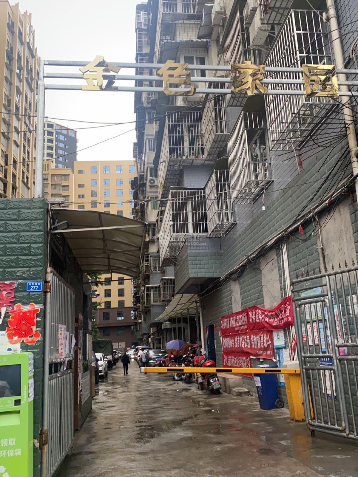 金色家园图片